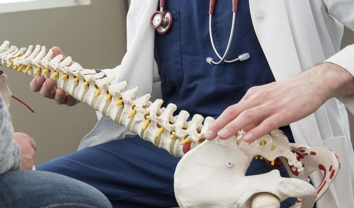 doctor holding spine model